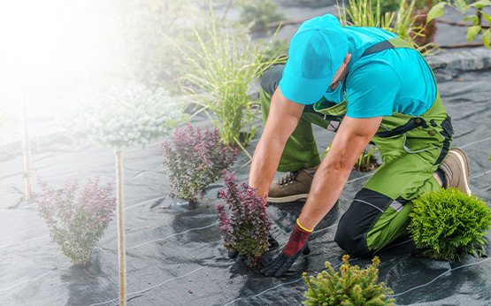 Agriculture • Aquaculture • Art floral • Travaux paysagers