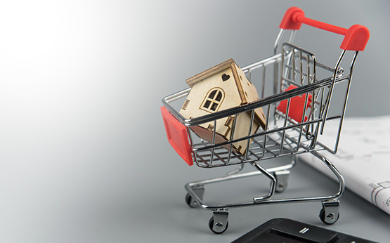 Commerce • Banque • Assurance • Immobilier
